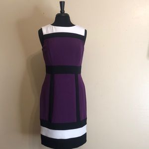 sandra darren purple black dress